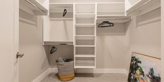 Towerview Ballantyne Gallery 44