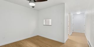 Shannon South Gallery 3