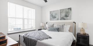 Standard441 Gallery 20