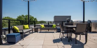 The Grove Gallery 57