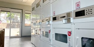 Cambridge Park and Cluster Park Gallery 4
