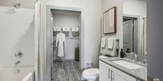 Accent Suwanee Creek Gallery 4