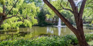 The Boulevard At Town Lake Gallery 23