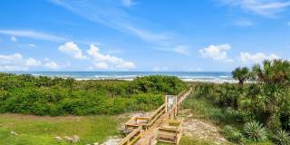 Dolphin Beach Gallery 21