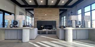 Velo Interlocken Gallery 1