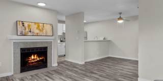 Windsor Apartments Gallery 5