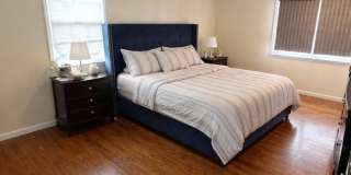 41 Dwight Drive Gallery 7