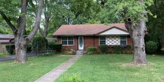 A Gardeners Dream! Gallery 1