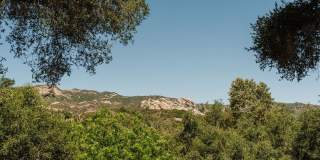 1149 Old Topanga Canyon Rd Gallery 5