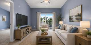 6925 ORTEGA WOODS Drive 6925 ORTEGA WOODS Drive Gallery 5