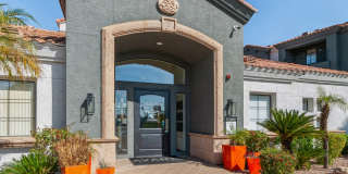 Mandarina Apartment Homes Gallery 46