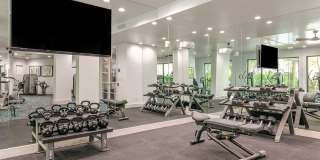 Advenir at Lighthouse Point Gallery 13