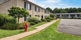 Wilkeswood Gallery 4