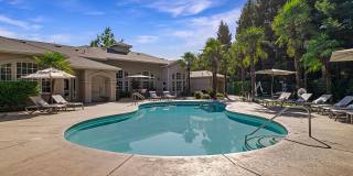 Sterling Oaks Luxury Apartments Gallery 13