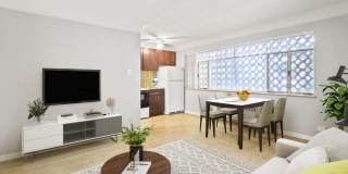 The Profile Gallery 2