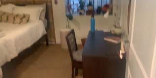 1609 Sydenham Gallery 30