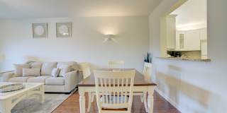 Ocean Trace 2-202 Gallery 31