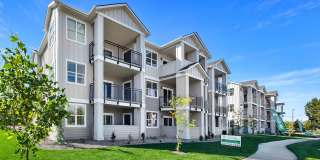 Brand New Construction | Springtree Apartments Gallery 1