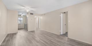 Cozy 2 Bed 1.5 Bathroom in Temple Terrace Gallery 16