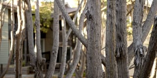 Crystal Springs Terrace Gallery 15