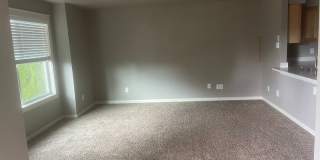 Newly remodeled Gallery 3