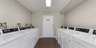 Park Place at Exposition Gallery 11