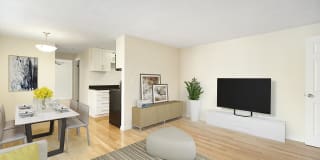 The Pearl The Pearl Gallery 1