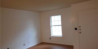 505 Buttercup Gallery 6