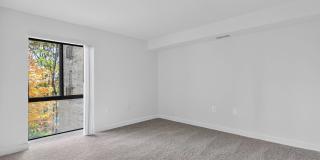 The Cloisters Gallery 11