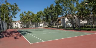 Somerset Apts. Gallery 12