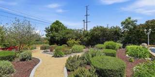 16540 Wagon Wheel Gallery 47