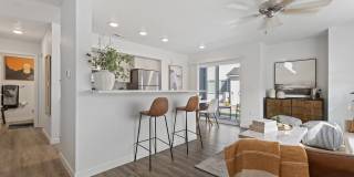 Amazon Falls Gallery 7