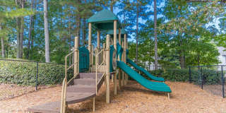 Tree Park Apartments Gallery 44