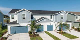 Skymor Wesley Chapel Gallery 1