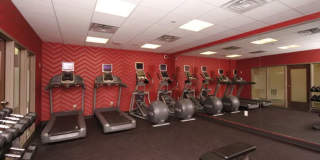 The Elysian Gallery 356