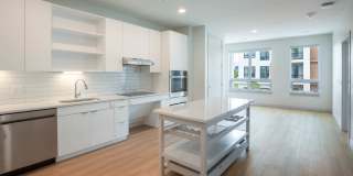 The Basin Gallery 40