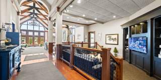 Asherton of Dublin Gallery 18