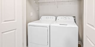 Olympus Fenwick Gallery 15