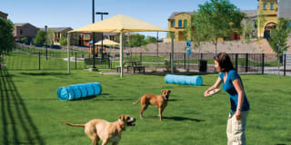 Townhomes at Kyrene Gallery 30