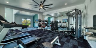 Hayden Park Gallery 3