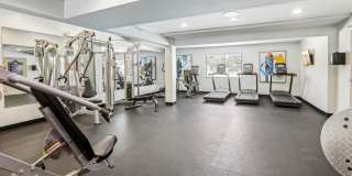 Tuscany Gardens Gallery 15