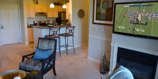 Lynnfield Commons Gallery 20