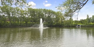 Willow Pond Gallery 25