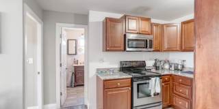 2010 Orleans Gallery 5