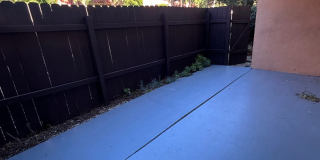 Spacious 2 Bed / 2 Bath with Large Balcony – Pet Friendly! Gallery 19