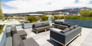 The Addison Berkeley Gallery 32