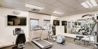 The Harlow Gallery 17