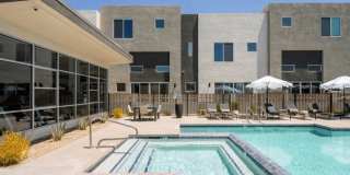 Novella at Biltmore Homes for Rent Gallery 18