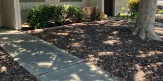 5251 Glide Drive Gallery 1
