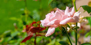 67665 Lagos Way Gallery 25